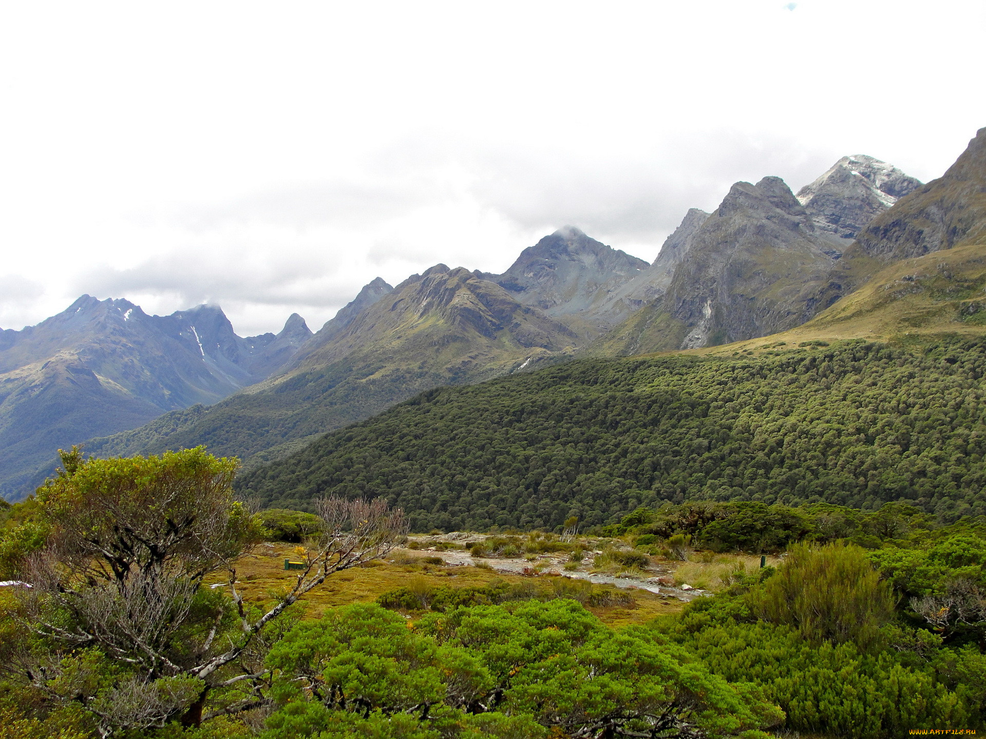 fiordland, national, park, , , , 